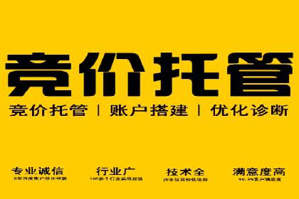 百度SEO推广公司案例分享：实战优化策略大放送